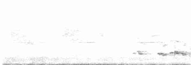 Gray-chested Babbler - ML616579453