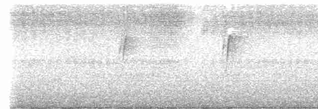 Fork-tailed Sunbird - ML616580684