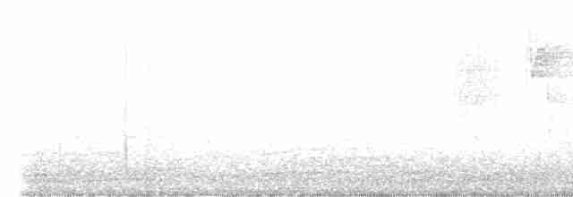 White-browed Laughingthrush - ML616581333