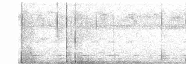 Лінивка-смугохвіст плямистобока - ML616581375