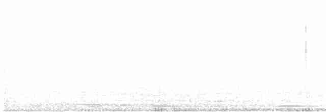 Цинантус синьогорлий - ML616586261