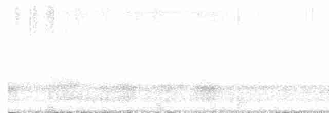 Chouette rayée - ML616587527