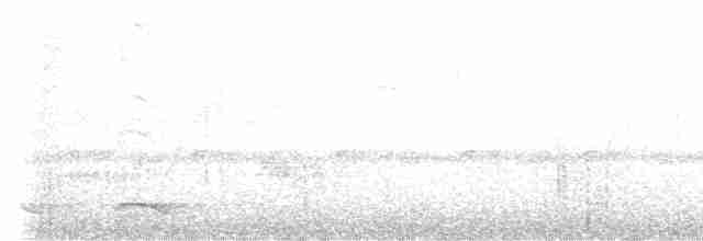 Trogon rosalba - ML616589478