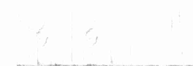 Common Chiffchaff (Common) - ML616590648