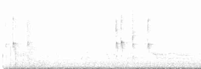 Chochín Hiemal - ML616591434