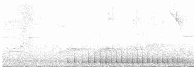 Pileated Woodpecker - ML616592120