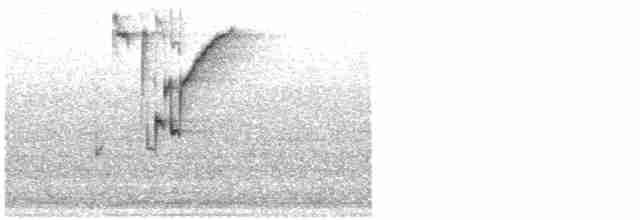 Brown-headed Cowbird - ML616592413