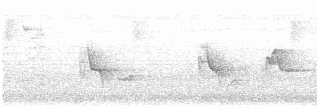 Сероголовый виреон - ML616592468