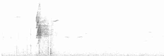 vrabec polní - ML616593551