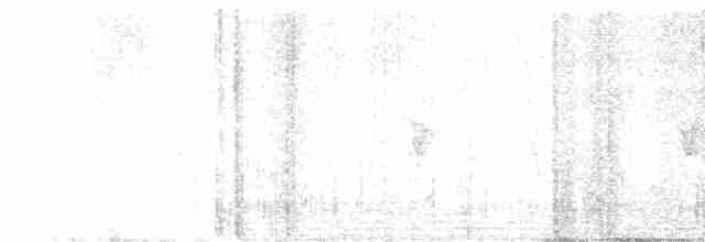 Phénopèple luisant - ML616593554