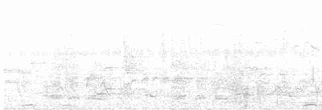 Чачалака східна - ML616595348