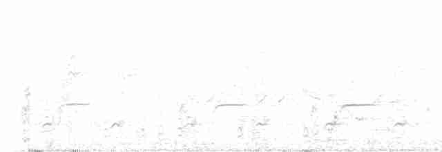 Toucanet émeraude - ML616595401