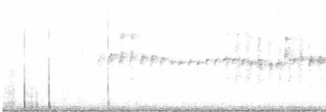 White-throated Swift - ML616596320