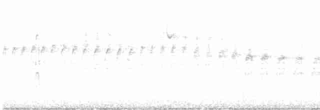 rorýs bělohrdlý - ML616596322