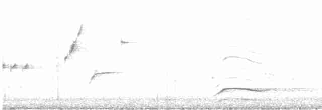 Kanyon Çıtkuşu - ML616596361