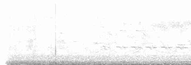 Поплітник каролінський - ML616596574
