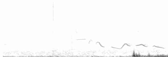 Black-crowned Tchagra - ML616596845