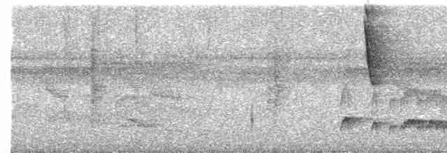 Ірличок сіроголовий - ML616598822
