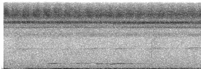 holub krátkozobý - ML616599123
