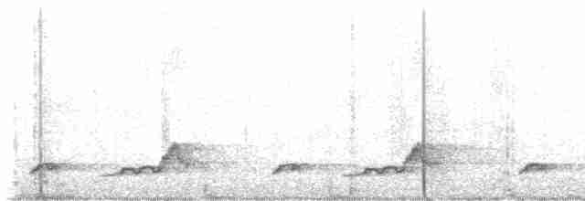 Schwarzkehl-Nachtschwalbe - ML616600540