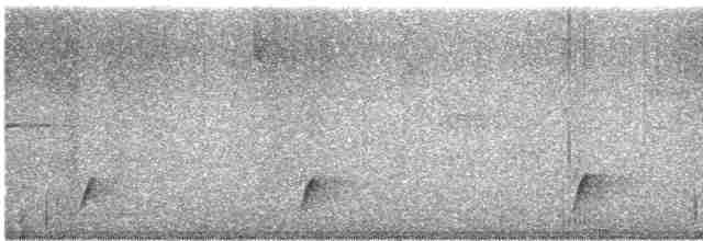 Дрізд-короткодзьоб Cвенсона - ML616601457