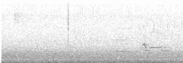 Дрізд-короткодзьоб плямистоволий - ML616601824