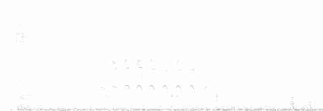 Western Meadowlark - ML616602401