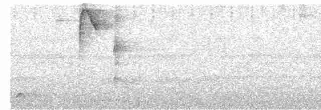 Streifenbrust-Ameisendrossel - ML616603114