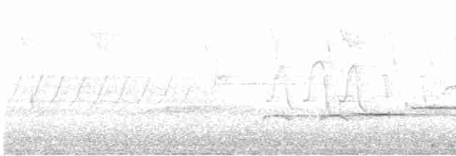 Münzevi Bülbül Ardıcı - ML616603247