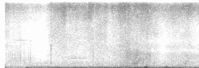 Münzevi Bülbül Ardıcı - ML616603279