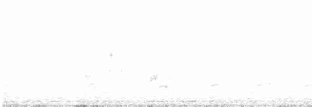 Paruline noir et blanc - ML616604451
