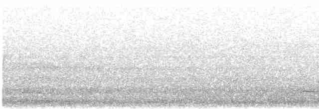 Eurasian Curlew - ML616604897