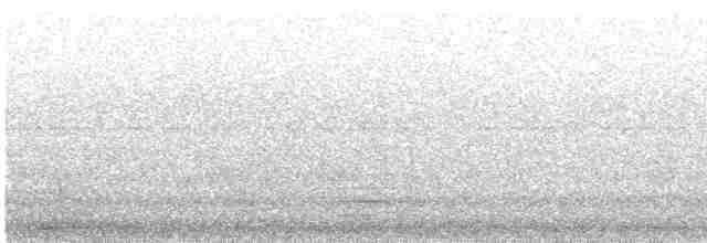 Black-crowned Night Heron - ML616605040