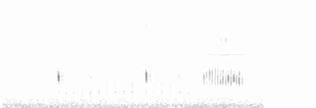 Mavi Karga - ML616605219