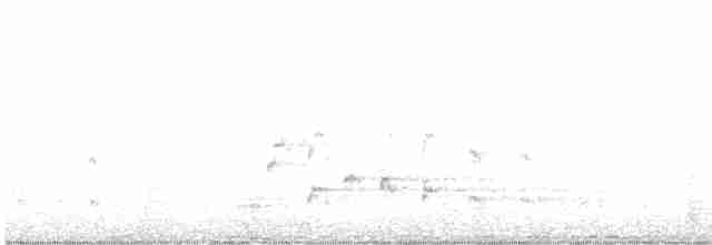 Орлан білоголовий - ML616605376