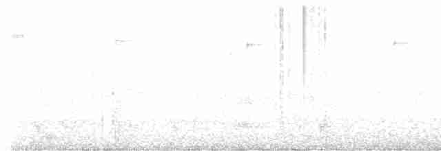 Karolina Çıtkuşu - ML616605490