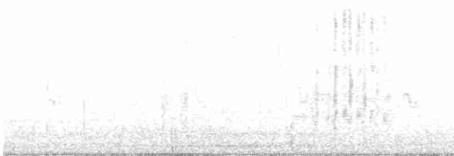 strakapoud osikový - ML616605671
