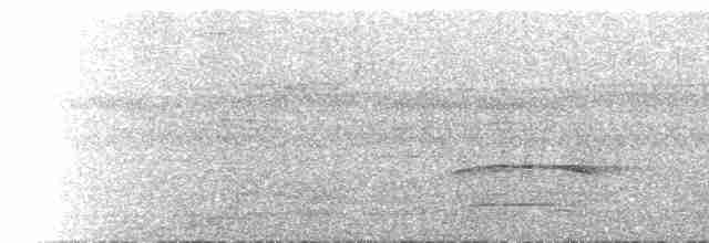 Rufous-necked Sparrowhawk - ML616606454