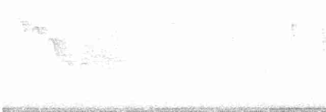 Kuzeyli Baştankara - ML616607194