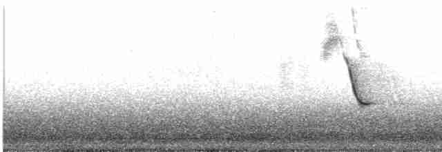 vlhovec červenokřídlý - ML616607453