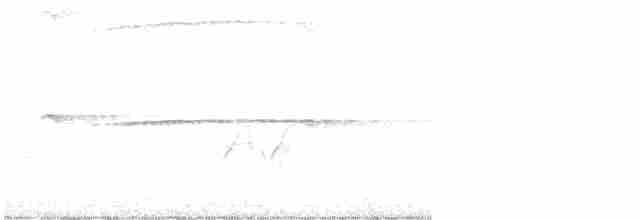 Ширококрылый канюк - ML616607914