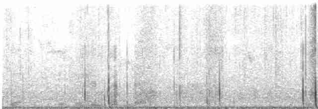 Blyth's Reed Warbler - ML616610003