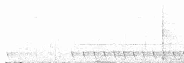 Gray Nightjar - ML616610326