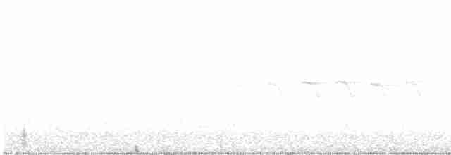 Yellow-rumped Warbler - ML616610361