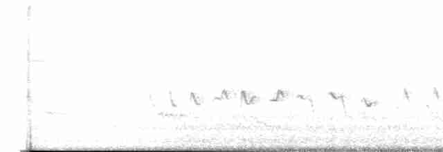 hýl rudoprsý [skupina mexicanus] - ML616610439