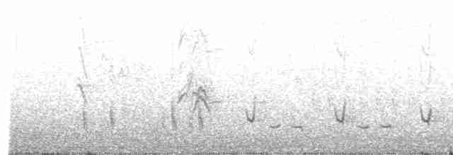 Sinsonte Tenca - ML616611486