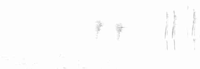 Шиподзьоб сіроспинний - ML616612538