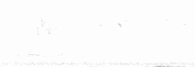 Gökçe Peribülbülü - ML616613032