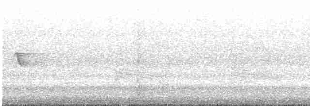Tropfenlaubenvogel - ML616613492