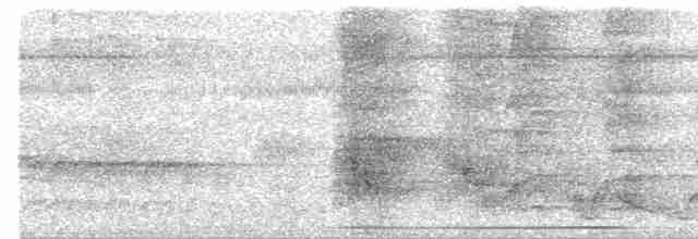 holub bledočelý - ML616613811